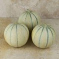 Lot de 2 melons 